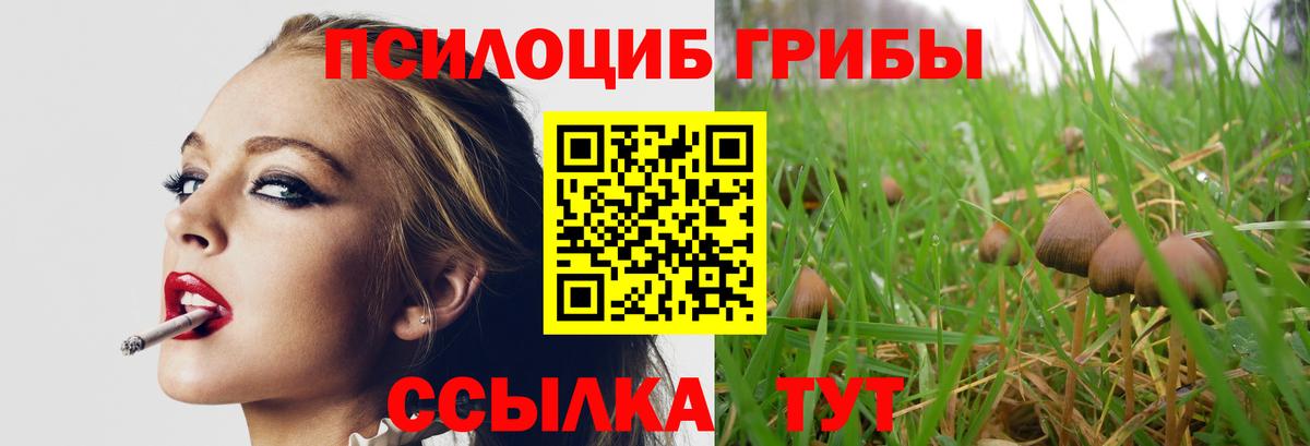 Туймазы  Псилоцибиновые грибы ЛСД  закладки  Вход с VPN  Псилоцибиновые грибы прущие грибы 